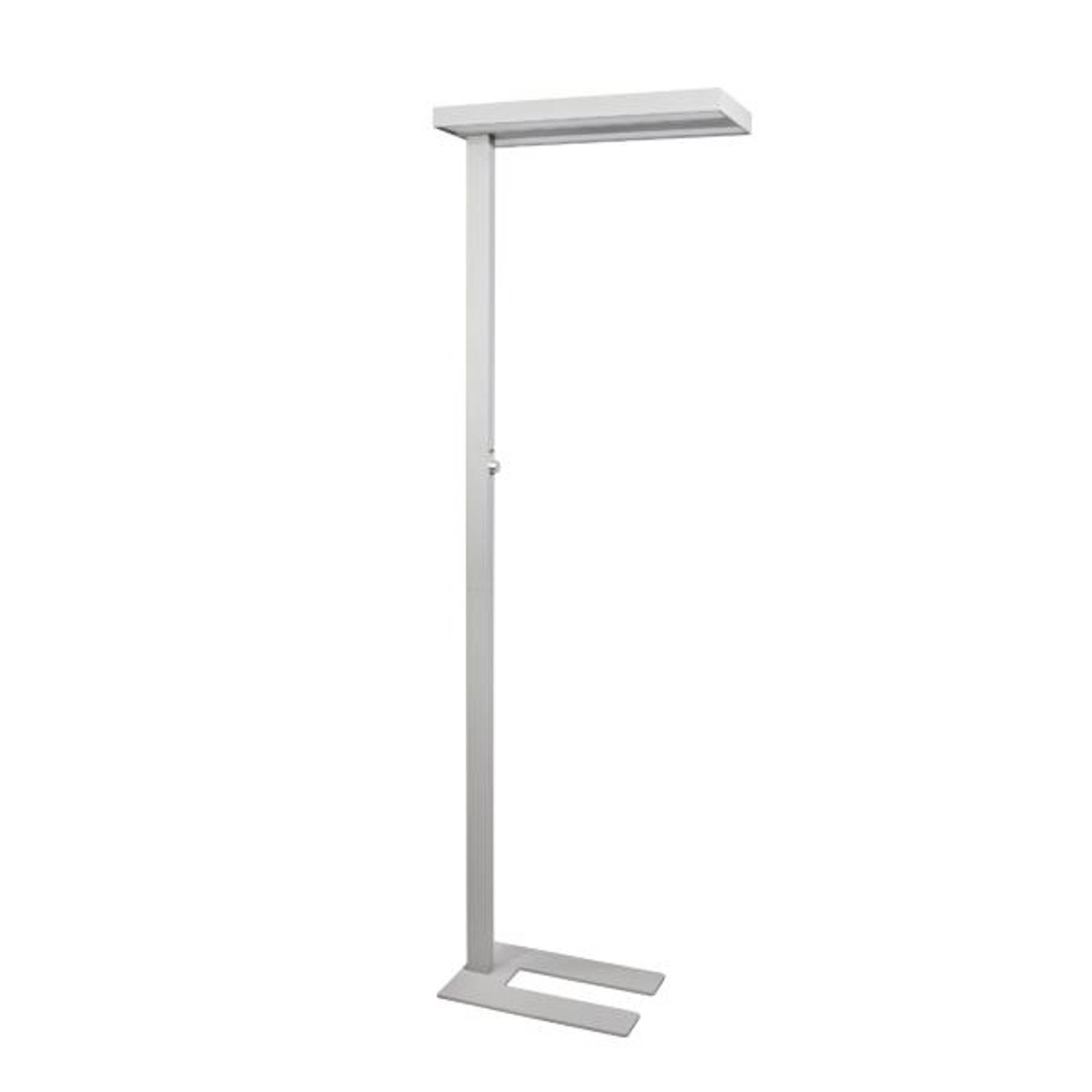 BRUMBERG Adrea LED-Stehleuchte mikroprismatisch