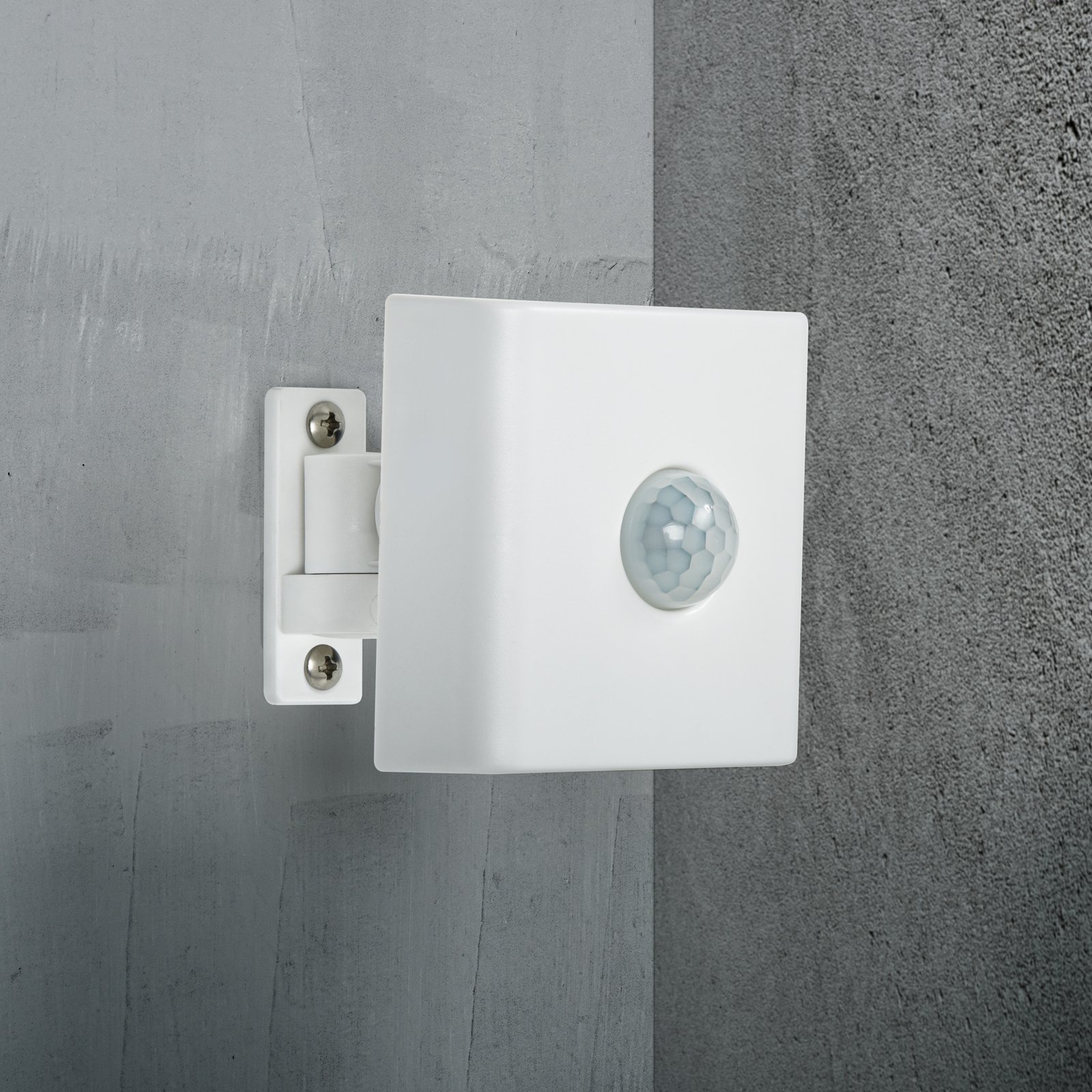 Motion and twilight sensor Smart
