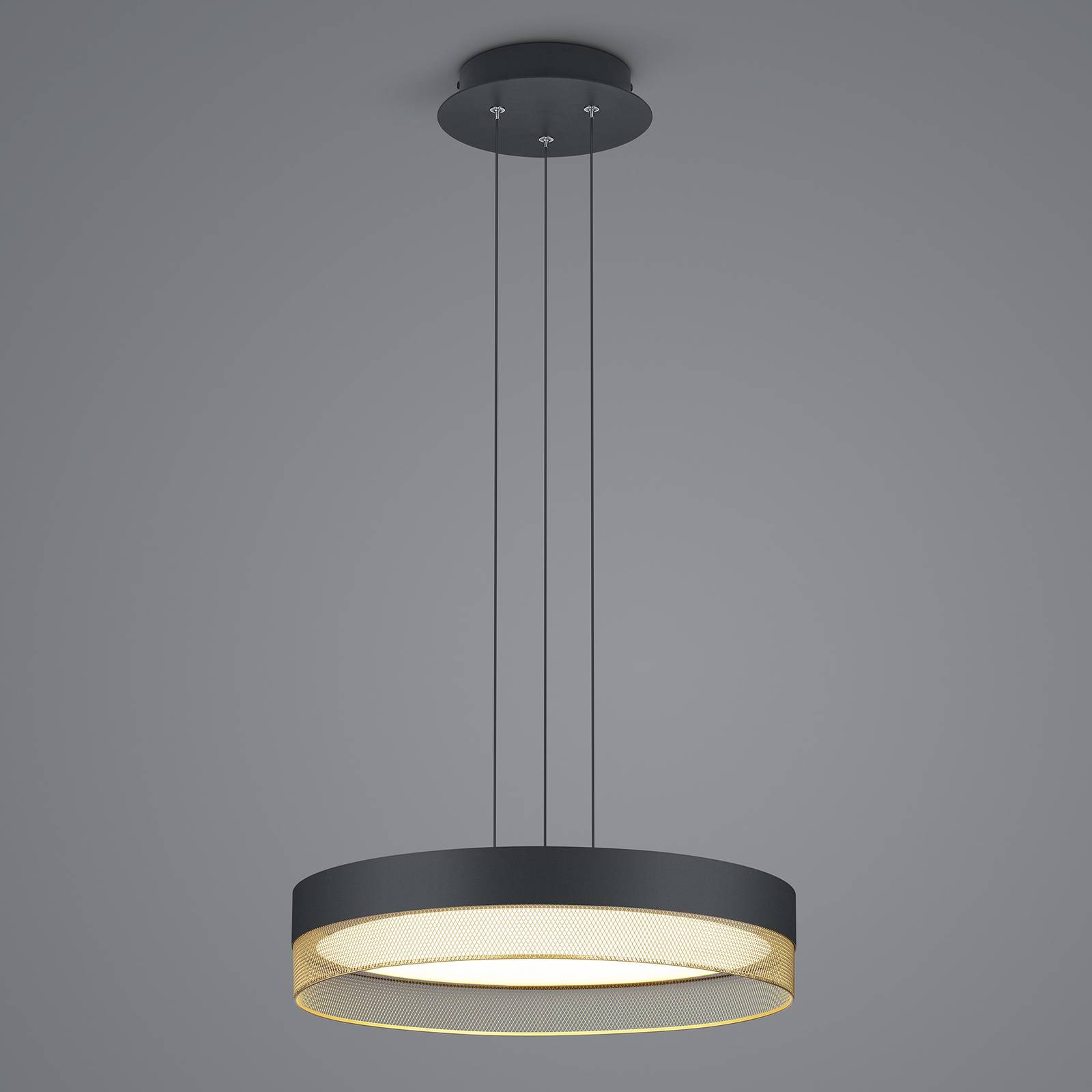 HELL Závěsné svítidlo LED Mesh, Ø 45 cm, černá/zlatá