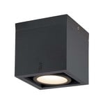 Eskina Frame Stropní Lampa 3000/4000K Anthracite - SLV