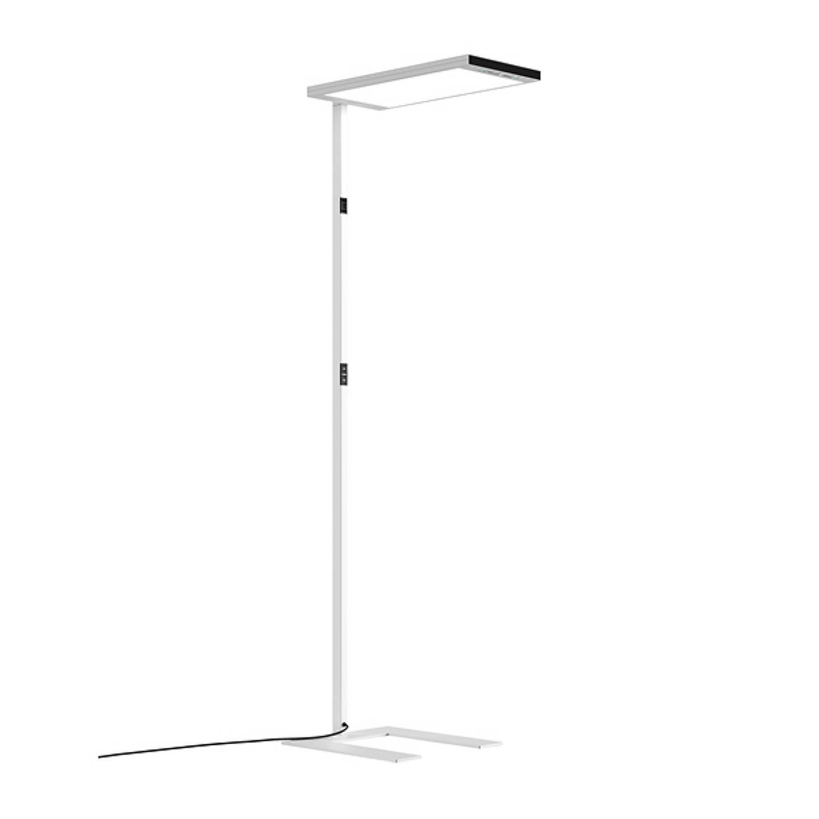 LED-Stehlampe Lavigo.single LTX, weiß, CCT, smart, Sensor