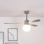 Amelia Ball ceiling fan, LED light, grey