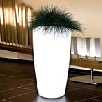 Rovio IV deco lamp, plantable, white translucent