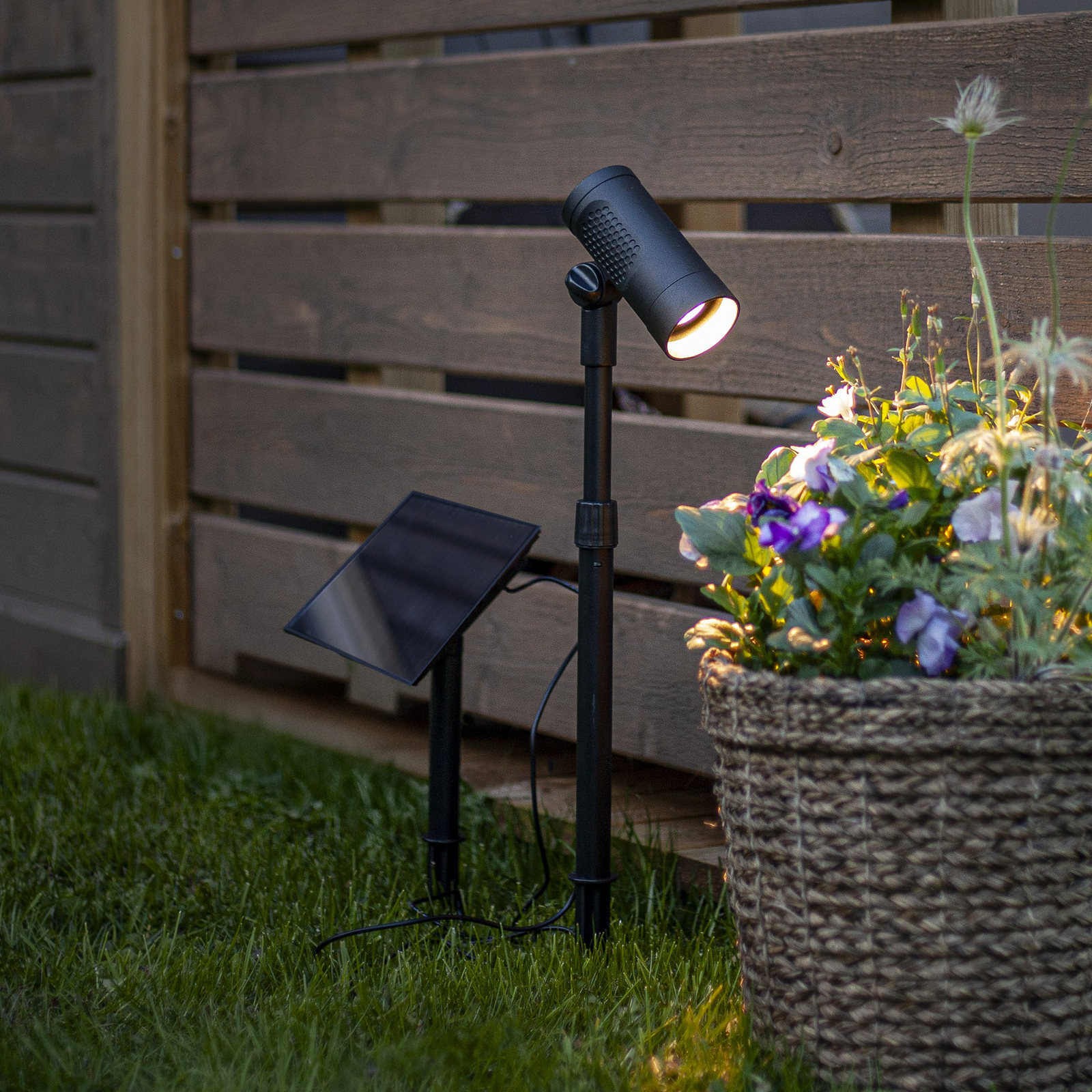 LED-zonne-spot Powerspot 53 cm, 250 lm, zwart, grondpen LED-zonne-spot Powerspot 53 cm, 250 lm, zwart, grondpen