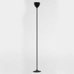 Rotaliana Drink lampada LED da terra