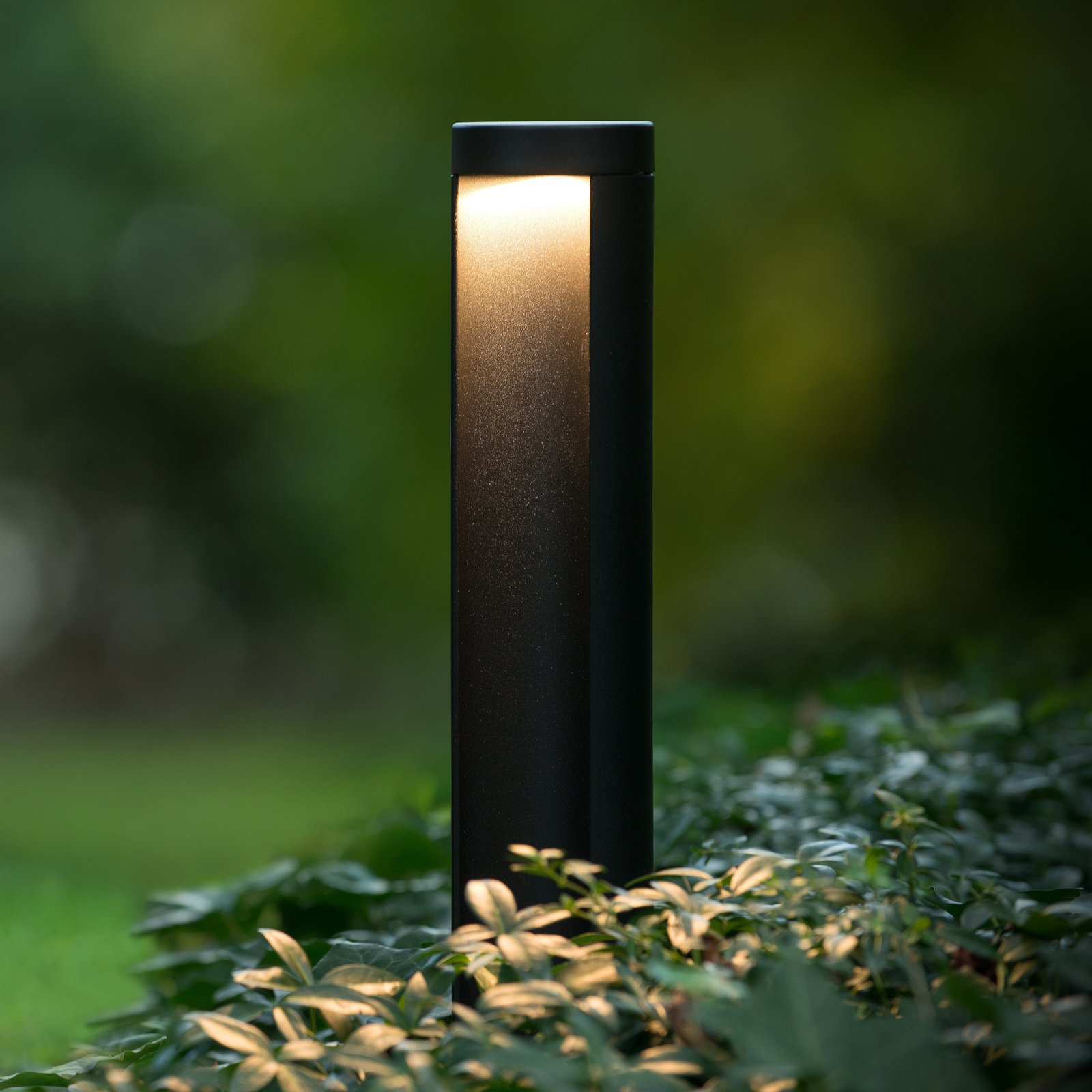 Combo bolardo luminoso LED, negro, 65 cm, aluminio, IP54