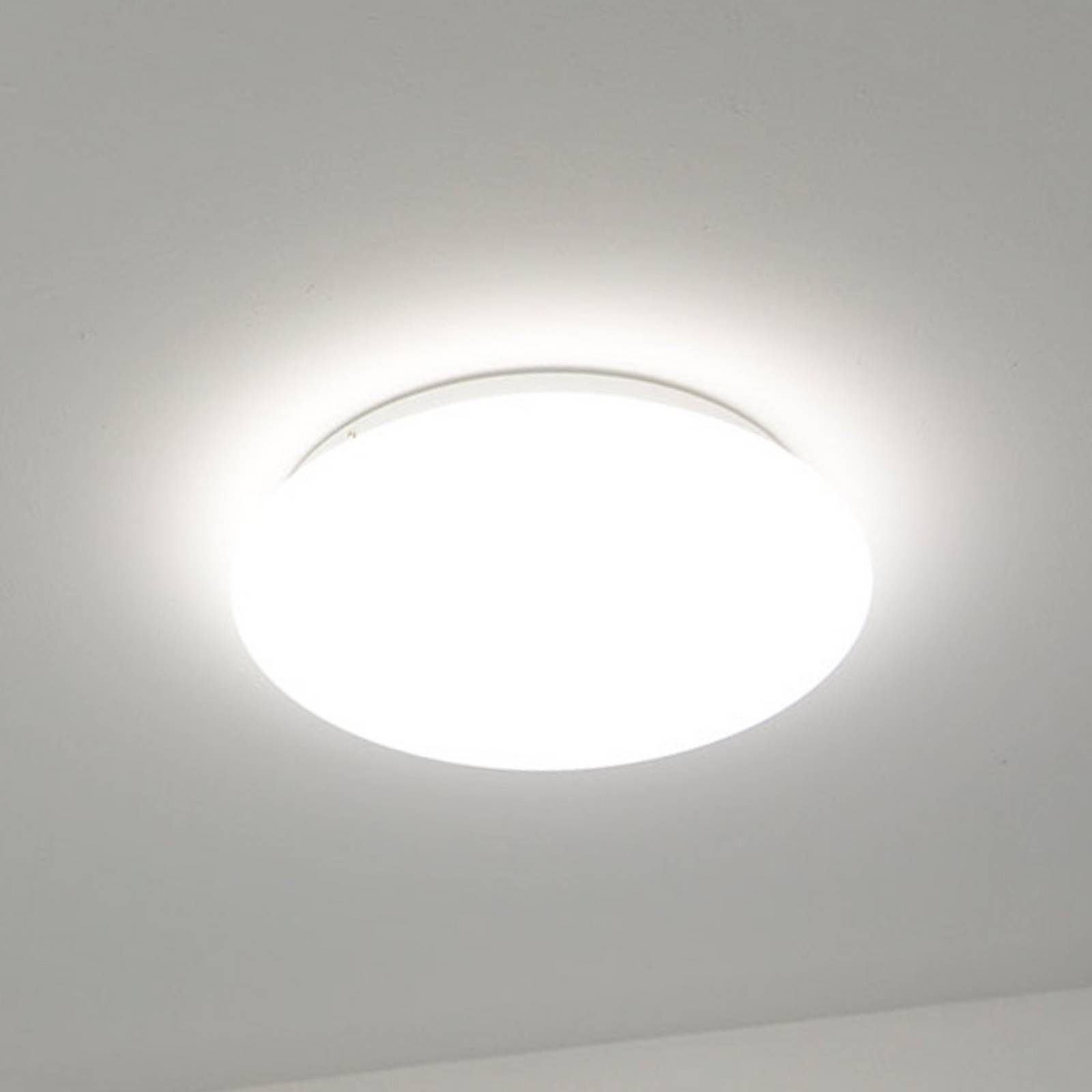 DOTLUX LED-Deckenleuchte LUNA, weiß, Ø 33 cm, PMMA, CCT IP44 günstig online kaufen
