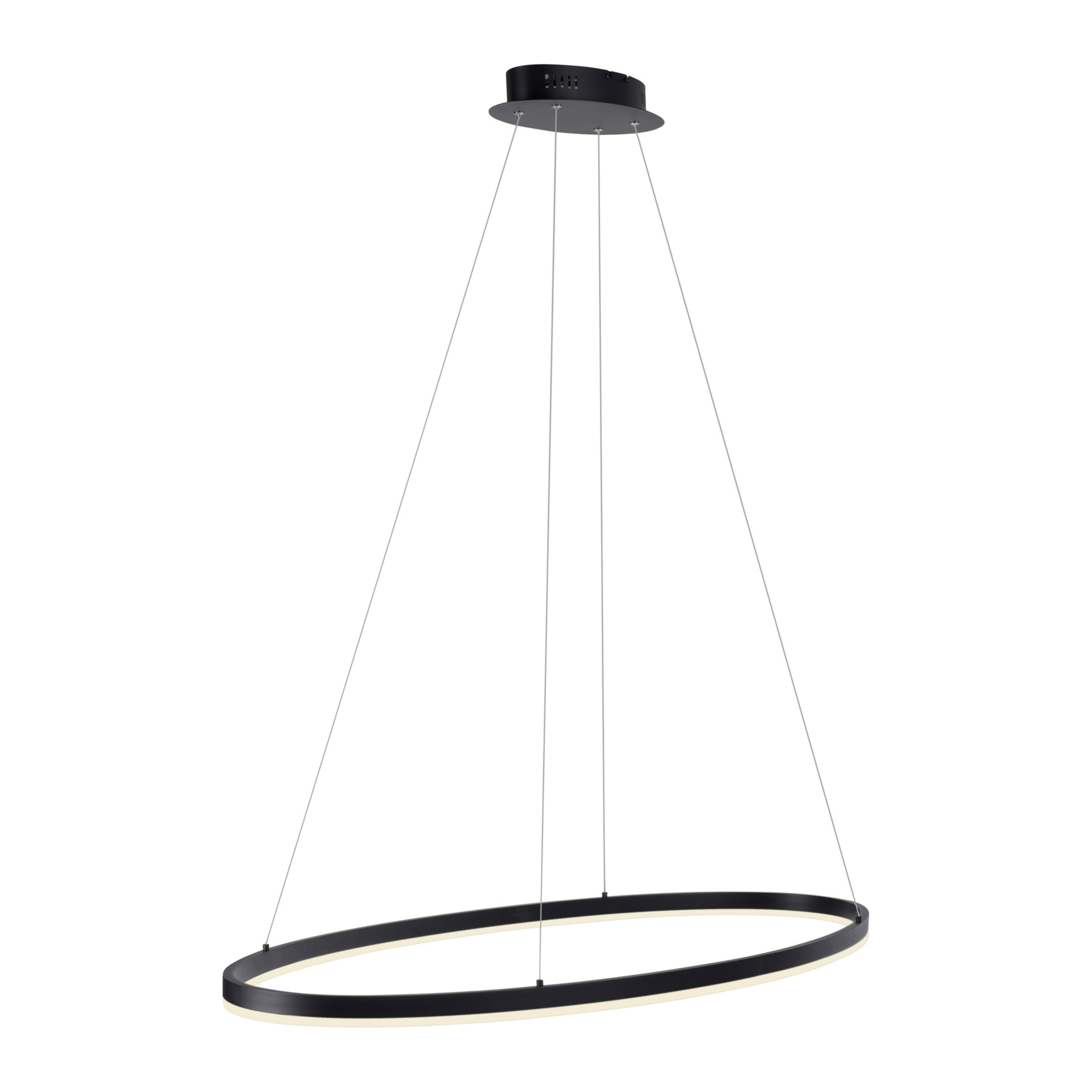 Paul Neuhaus LED závesné svetlo Titus, 118x56cm, CCT, stmievateľné