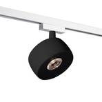 LED track spotlight Vibo Volare 927 black/white 10°