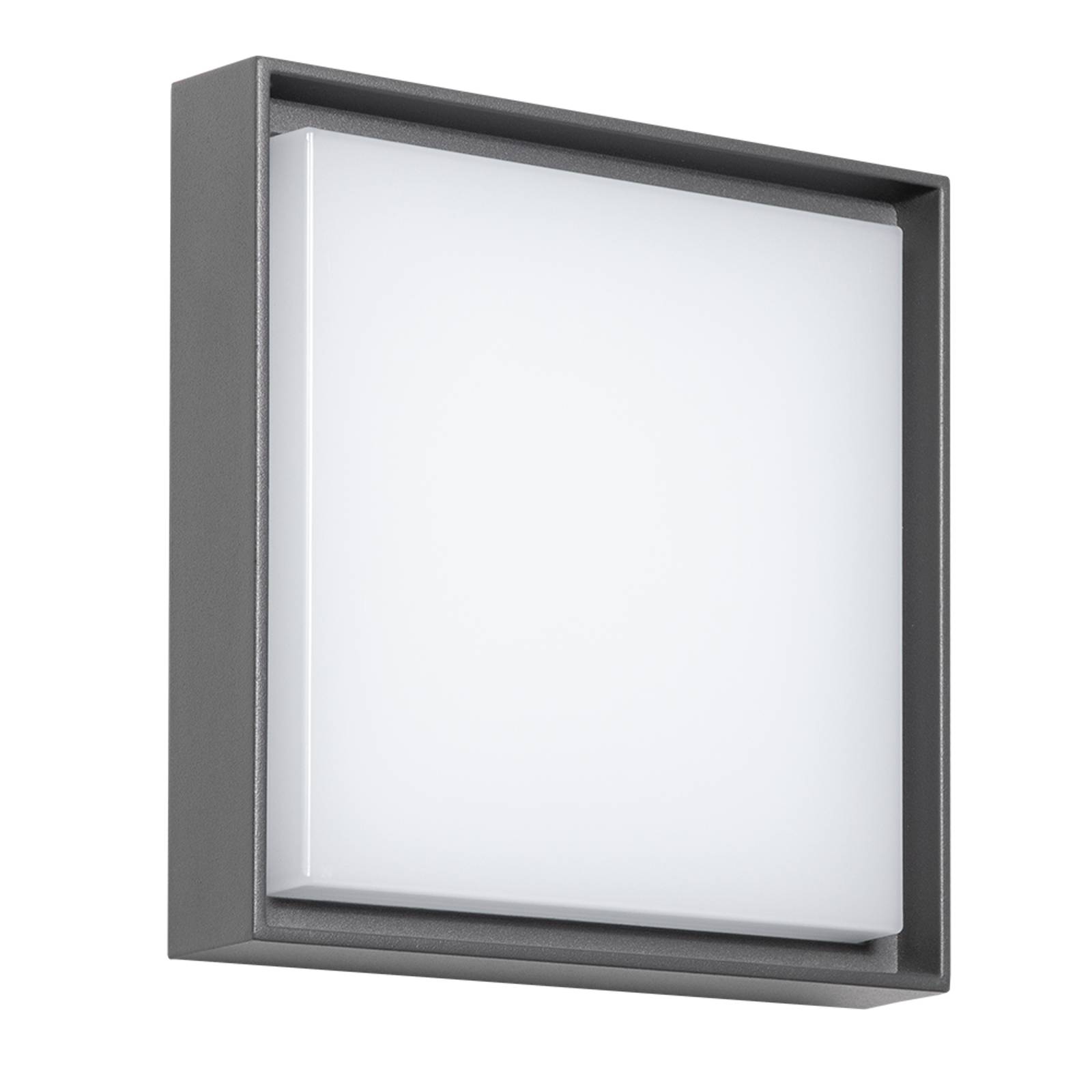 DOTLUX WALLsquare LED-Außenleuchte quadratisch günstig online kaufen