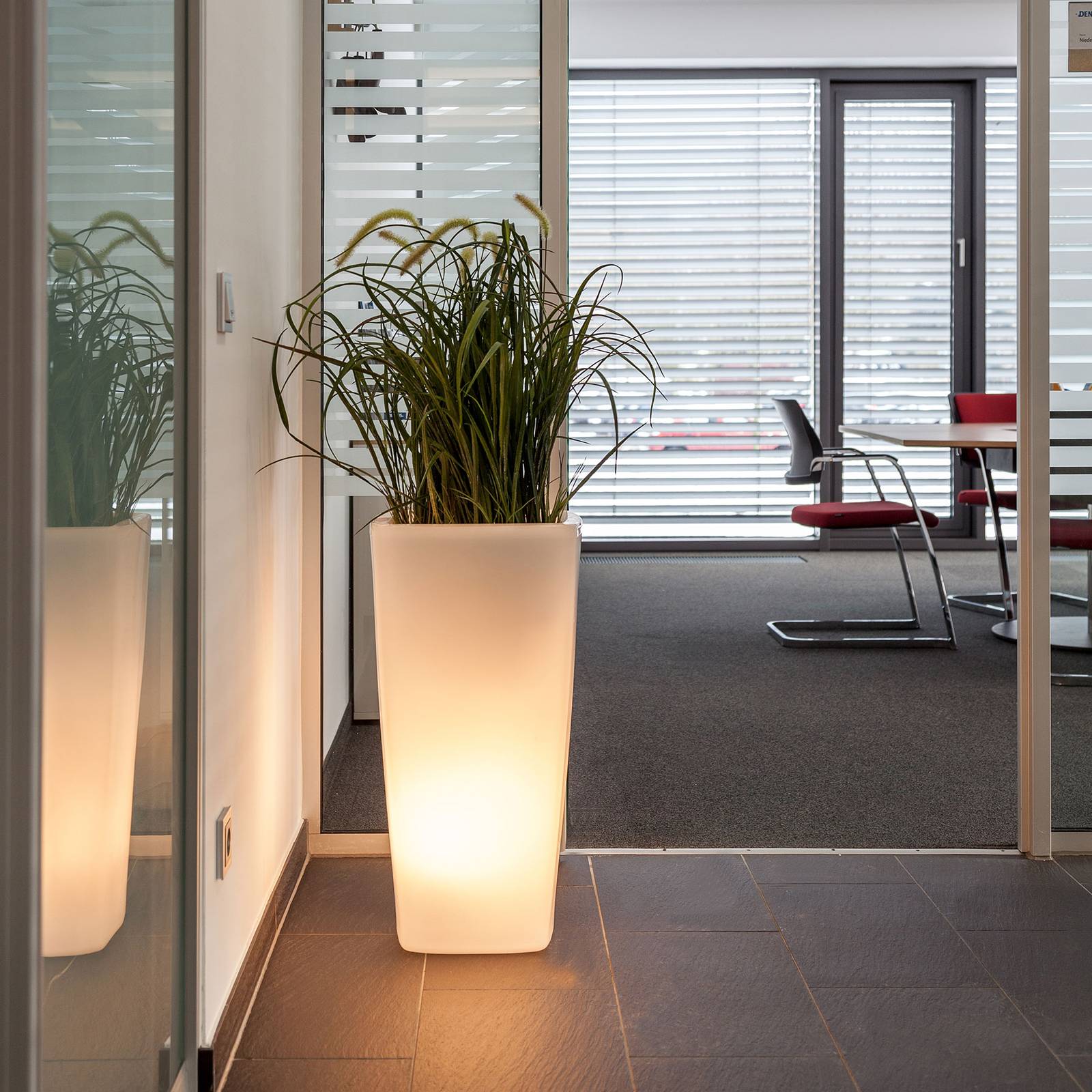 Lampe Trevia V pour plantes, blanc transparent