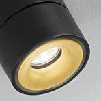 Egger Clippo Duo LED spot, crno-zlatno, 3.000K