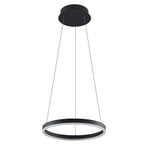 Albiona LED Pendant Ø40 Black - Arcchio