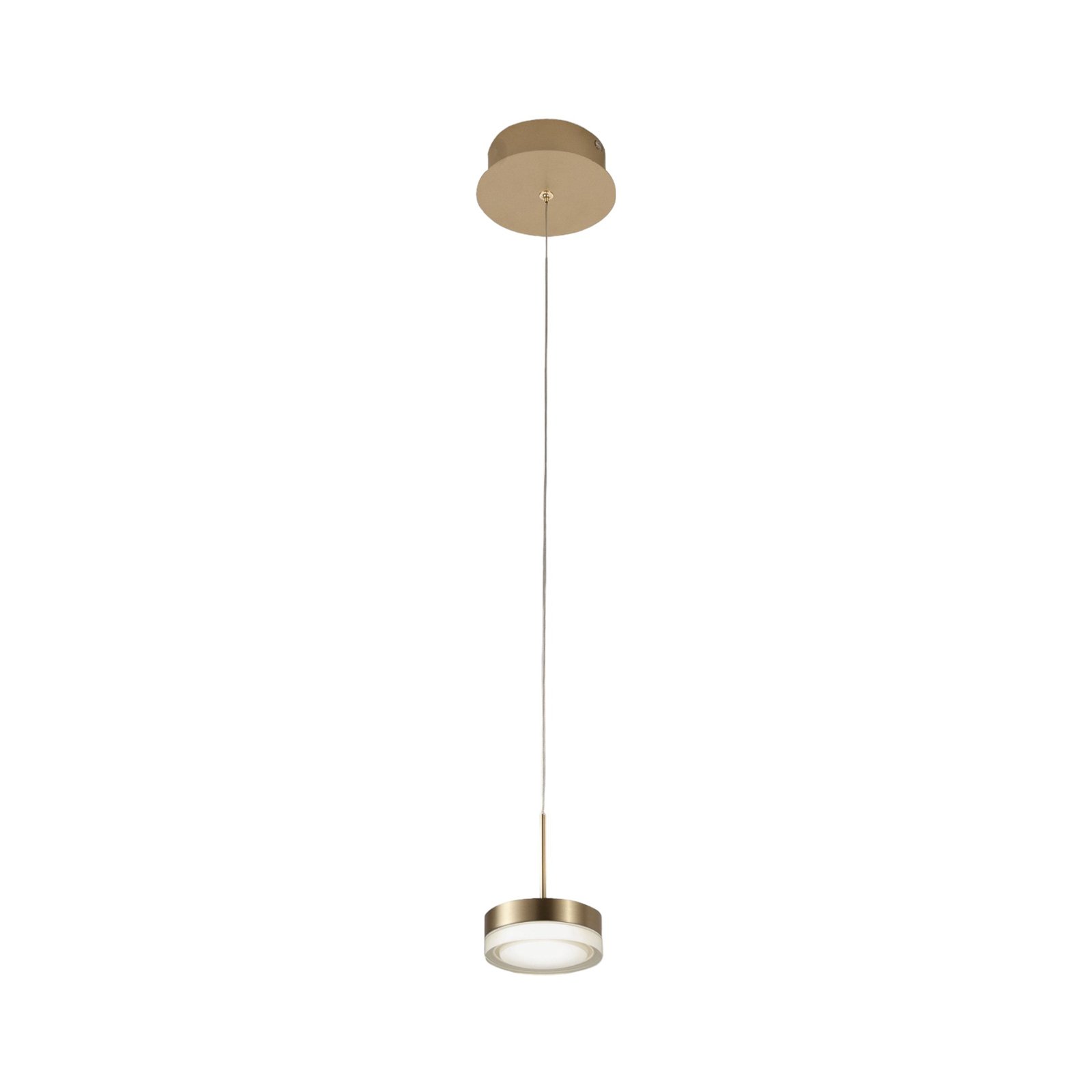 LED pendant light Dunk, brass, 1-bulb, 3,000 K, metal