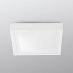 Tola bathroom ceiling light, 27 x 27 cm, white