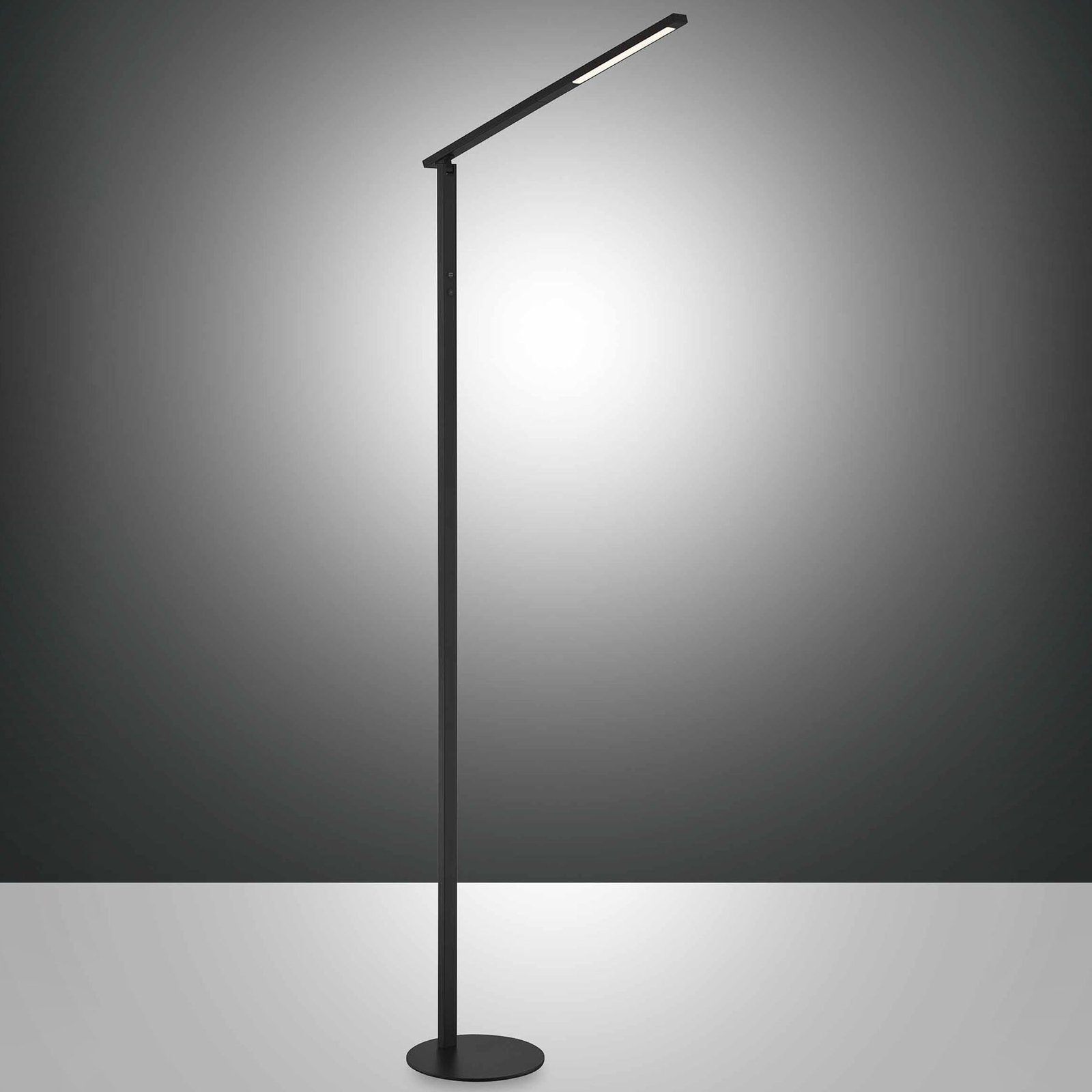 Stojaca LED lampa Ideal, 1-plameňová, CCT, čierna