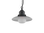 Roisin Utomhus Taklampa Dark Grey - Lindby