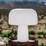 Goodnight Light The BOLETI lamp™ with solar panel