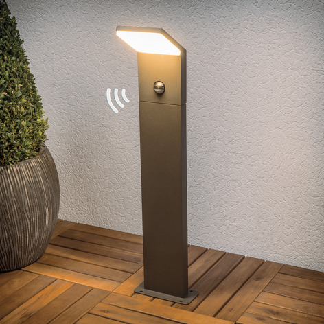 Grafietgrijze LED-weglamp Naja