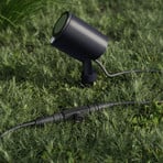 STEINEL LED-spot Garden C, antraciet, grondpen, IP65, RBWW