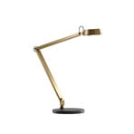 Dark T2 Table Lamp w/Base Brass - LIGHT-POINT