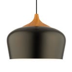 Voltige metal pendant light in black