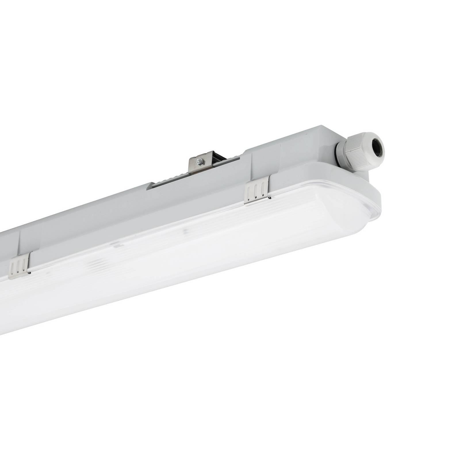 LED-armatur RESISTO, lysegrå, 65 cm, 15 W, 840, IP66