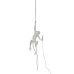 LED decoratie-hanglamp Monkey Lamp, wit, hangend