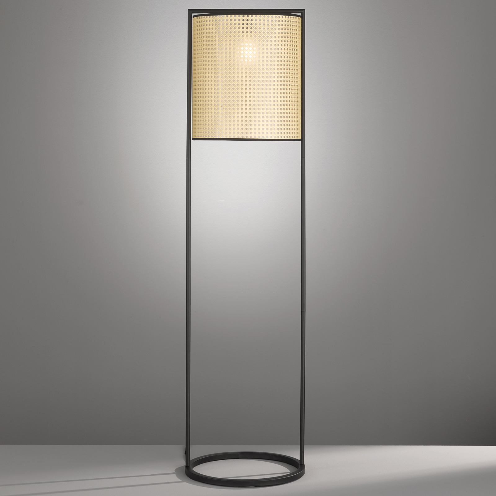 Fischer & Honsel Tyler floor lamp in woven look, height 150 cm, for Living / Dining Room, plastic, metal, E27, 60 W, energy efficiency: A++, H: 150 cm