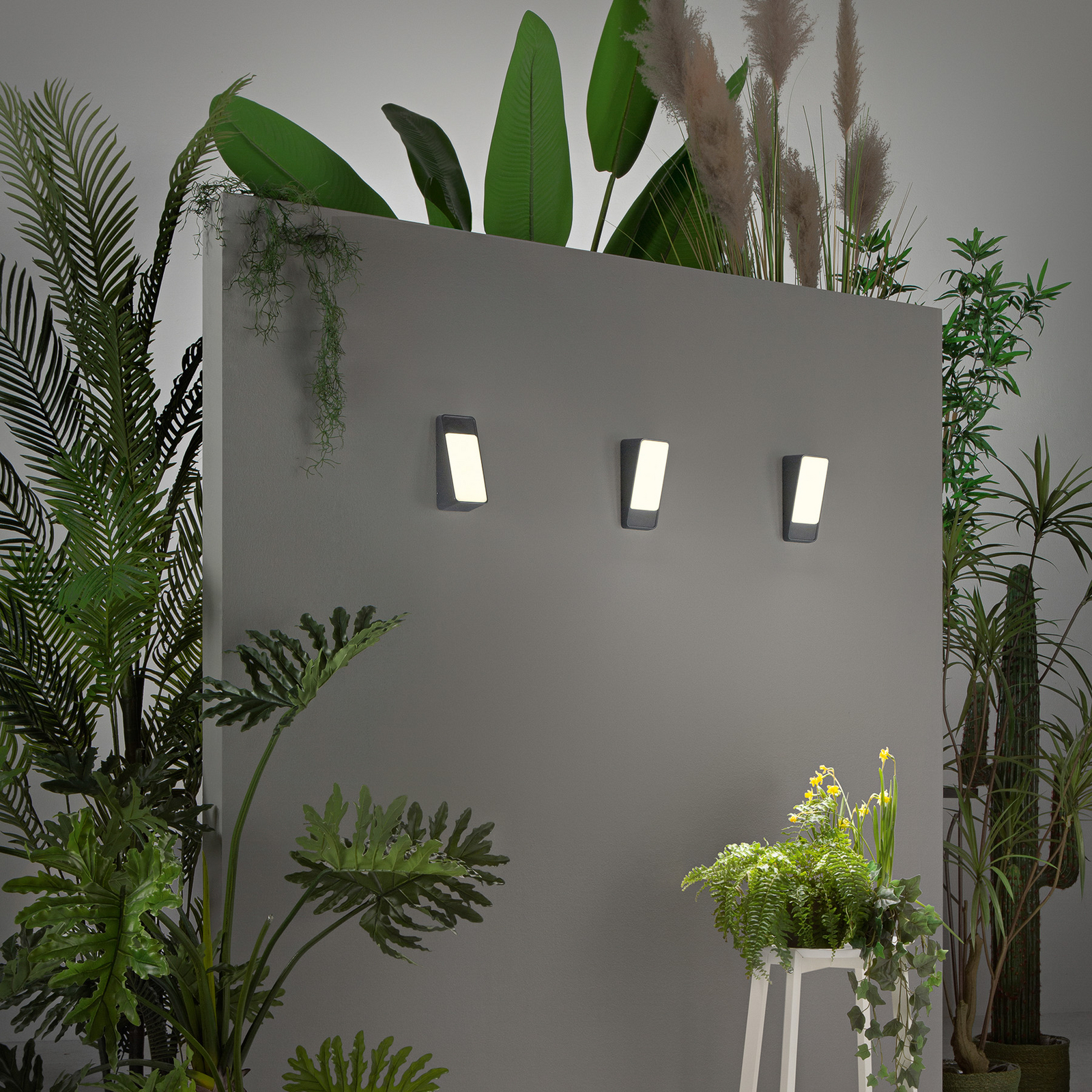 Applique d'extérieur LED Coupe, anthracite, hauteur 20 cm, métal