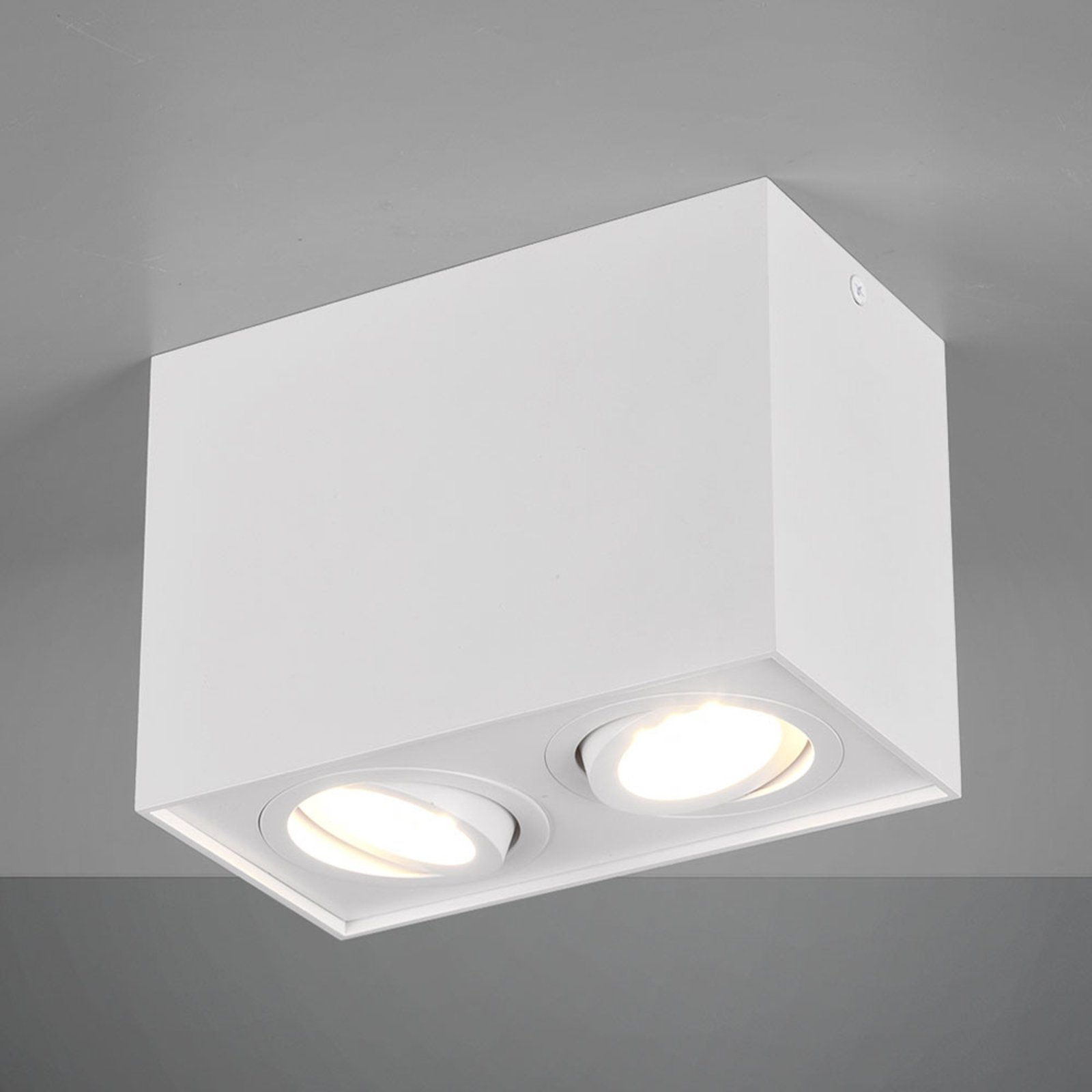 Lámpara de techo Biscuit, 2 luces, blanco