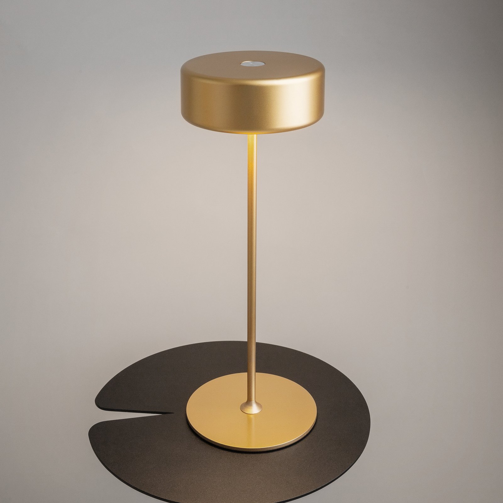 Maytoni LED rechargeable table lamp AI Collaboration, aluminium, gold