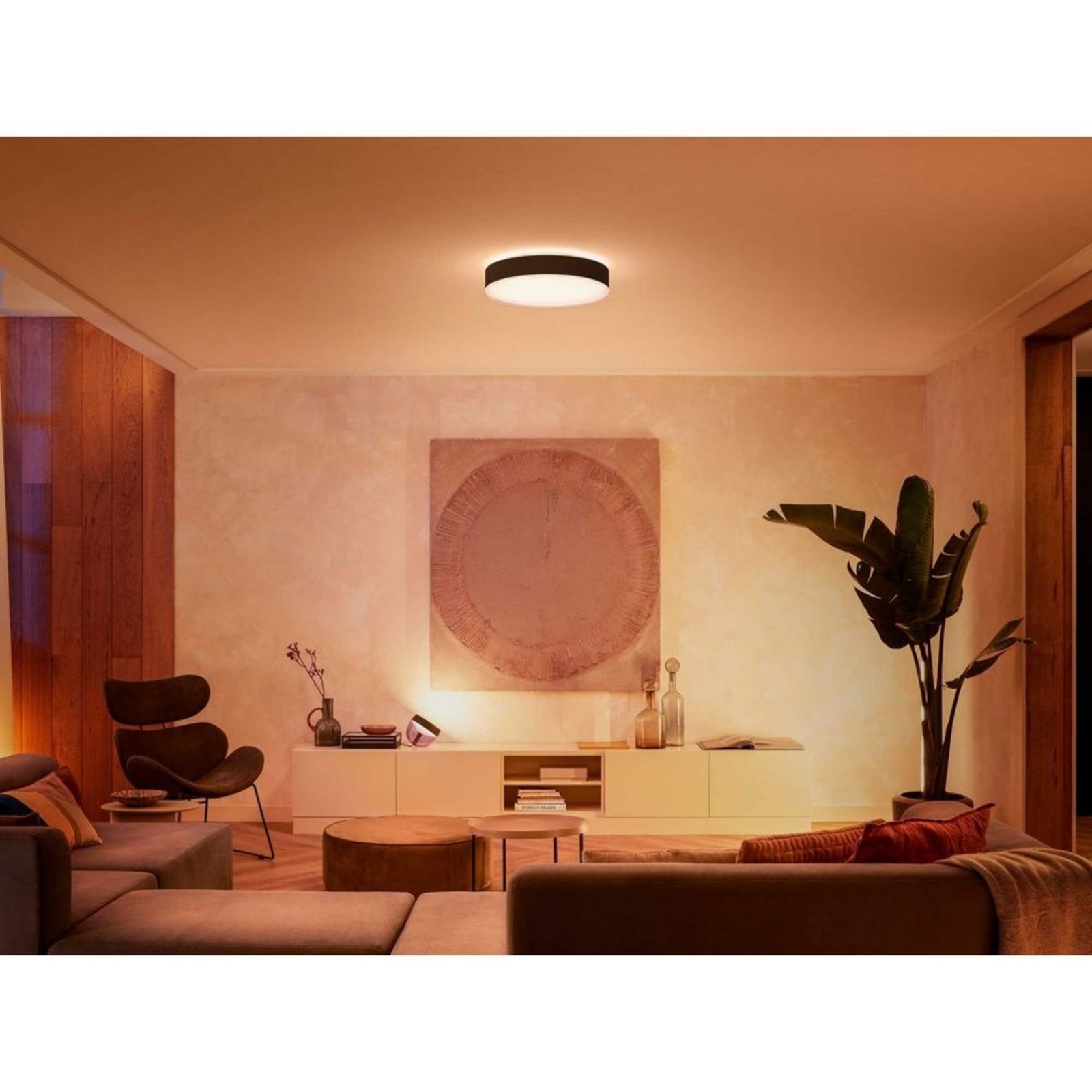 Hue Enrave L Plafonieră White Amb. Black - Philips Hue