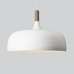 Northern Acorn pendant light