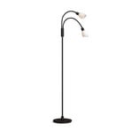 Cut 2 Stojací Lampa Black/Opal - Herstal