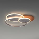 Paul Neuhaus LED ceiling lamp Palma, wood, CCT, 65cm, dimmable