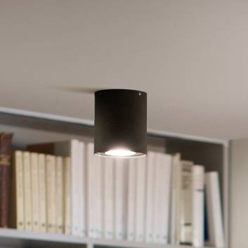 Philips Hue Pillar spot LED avec variateur, noir