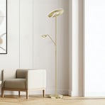 Talna svetilka LED Dent, medeninaste barve, 180 cm, CCT, 2 svetilki