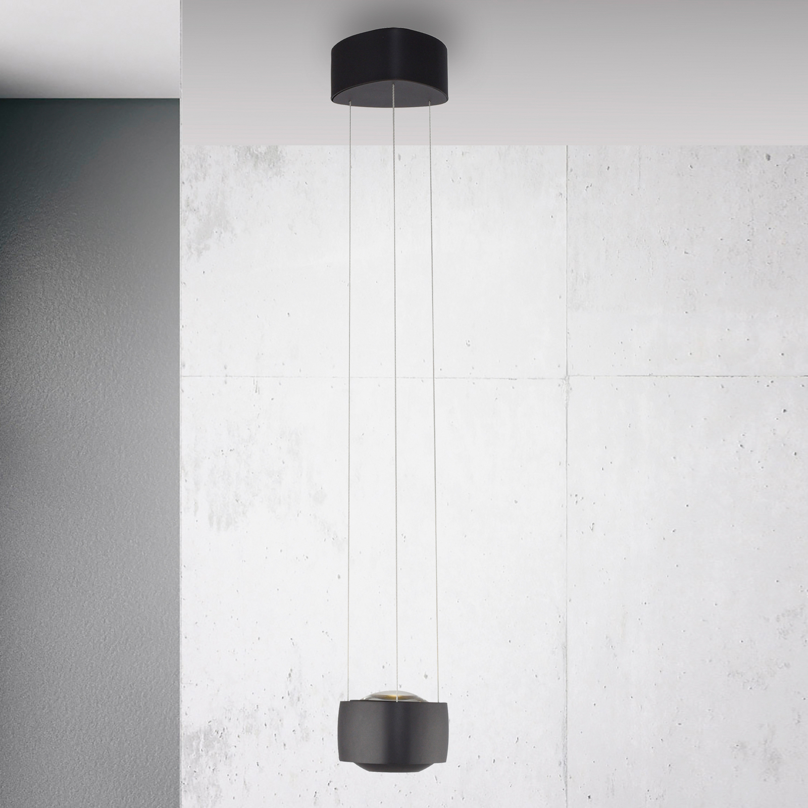 Lámpara colgante LED Paul Neuhaus Q-Stretto, negra, Ø 14,5 cm