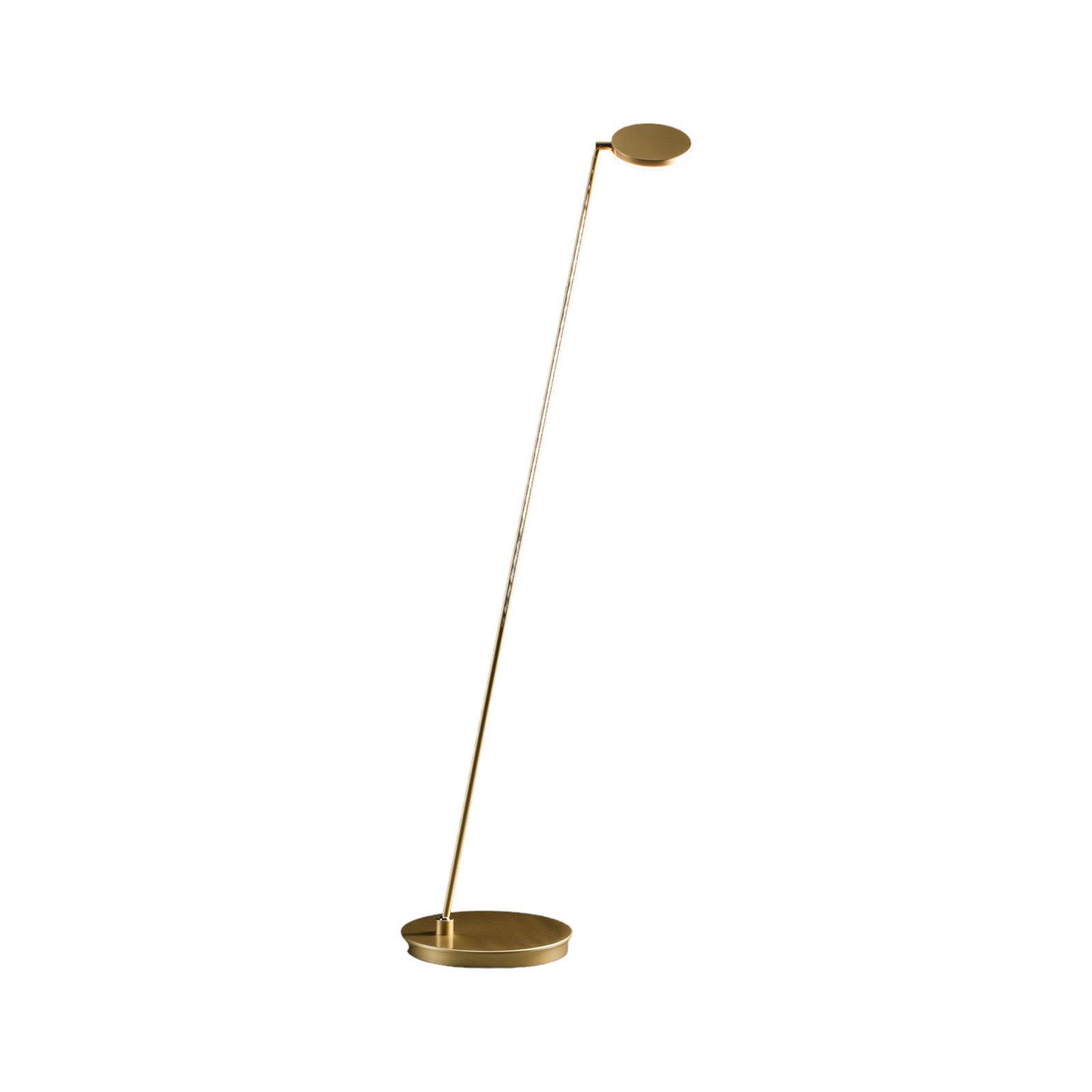 Holtkötter Plano S - LED floor lamp, brass