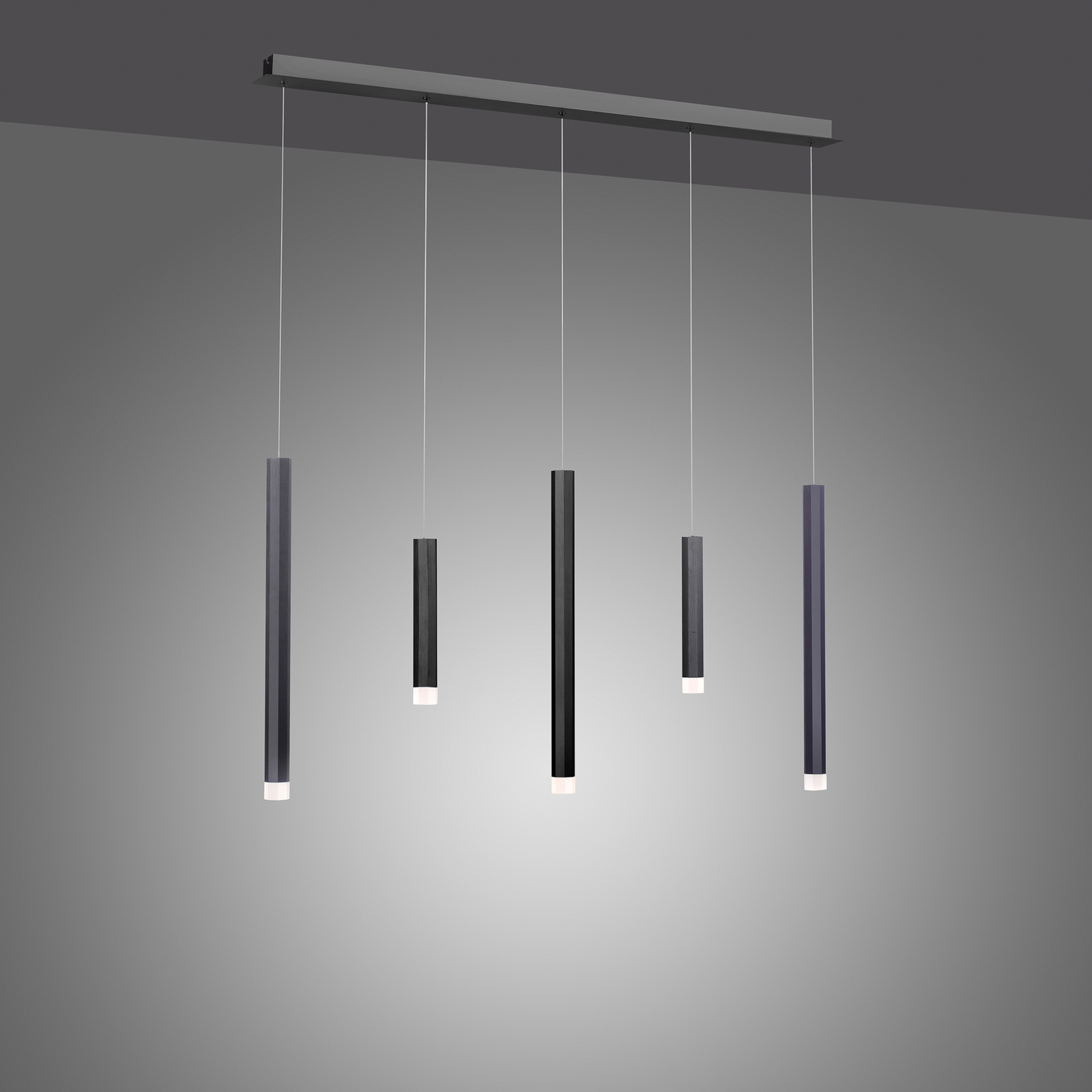Paul Neuhaus Pure-Gemin LED závěsné světlo černá