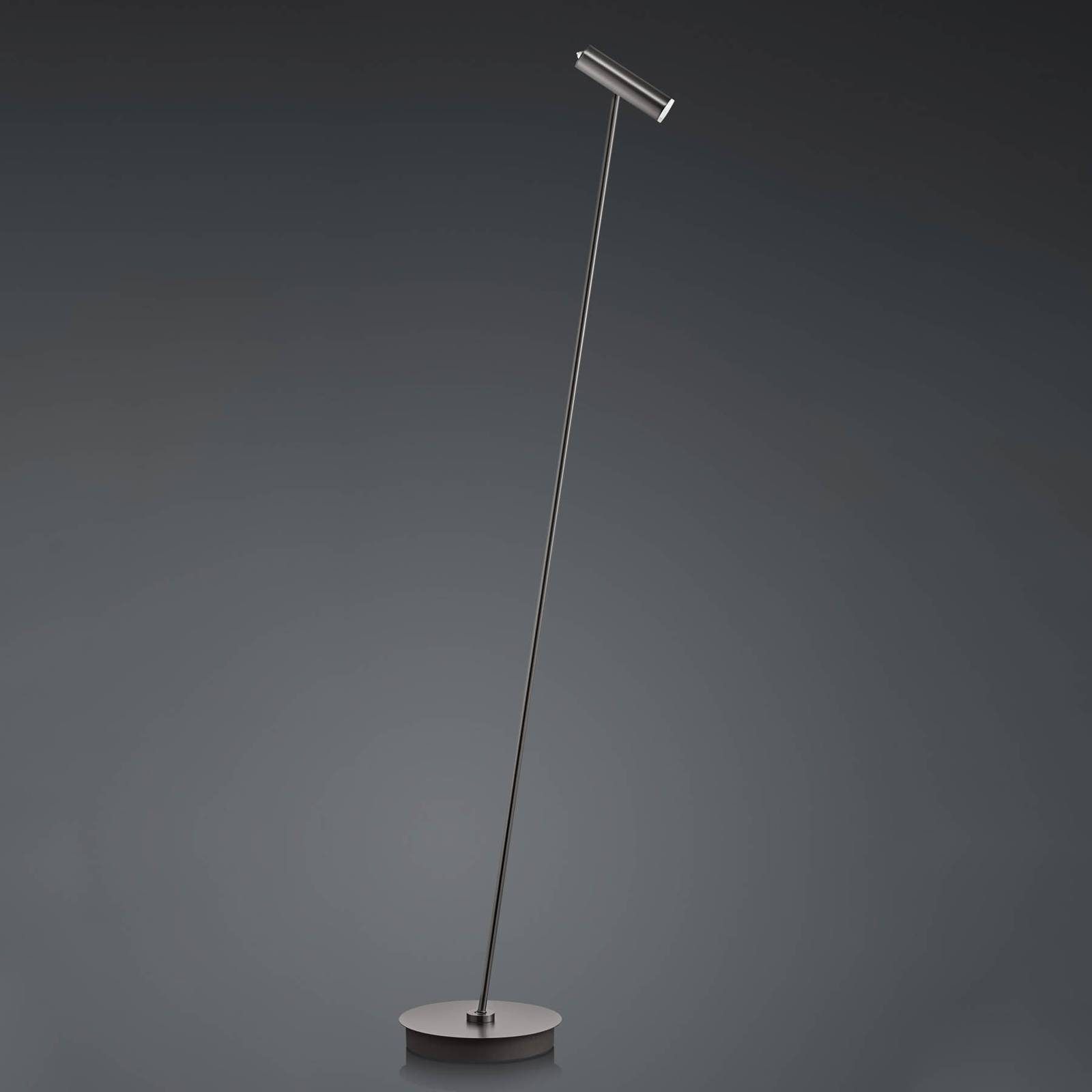 Lampa stojąca LED Tom, ściemniana, brąz