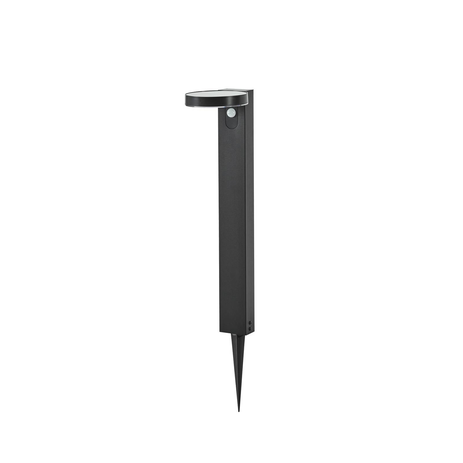 Prios LED-Solar-Wegeleuchte Tarlson, rund, anthrazit, Sensor