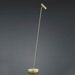 Tom LED floor lamp, dimmable, brass