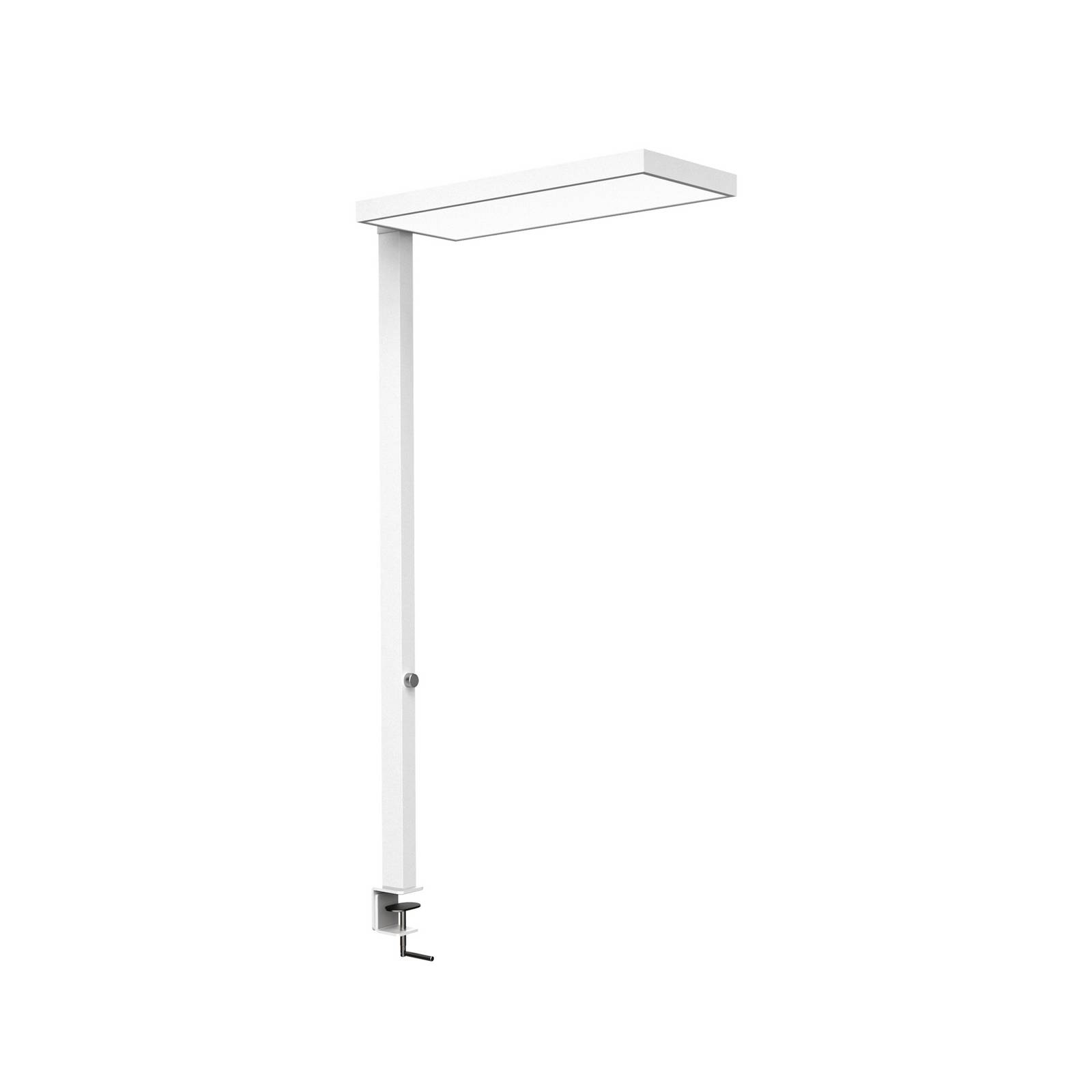 LED-Klemmleuchte MAULjura, weiß, Aluminium, dimmbar, 100 cm günstig online kaufen