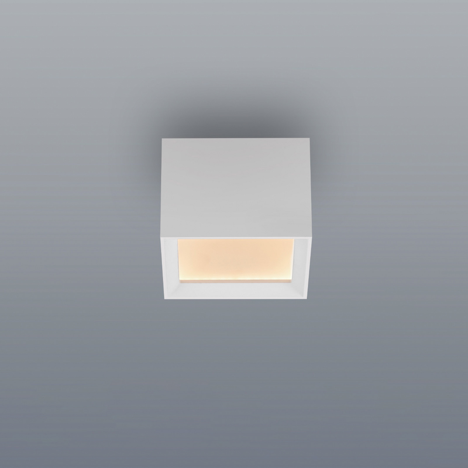 Plafonieră LED PURE Manhatten alb zăpadă 1 bec CCT - Hol - Modern - Aluminiu