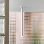 Nemo Canna Nuda LED-Deckenleuchte, schwenkbar