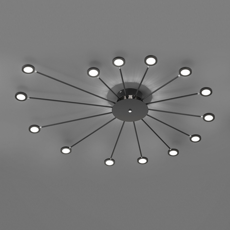 LED-taklampe Peacock, 15 lyskilder, svart