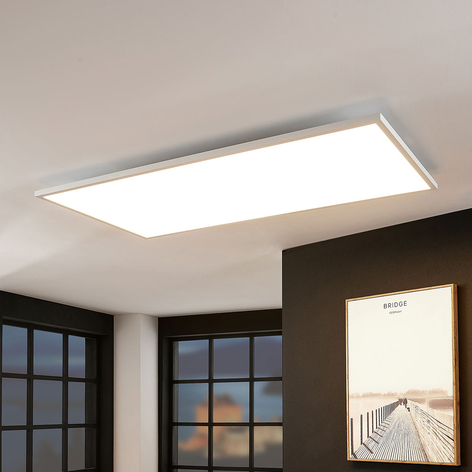 LED panel CCT Brenda, remote control,59.5x119.5cm
