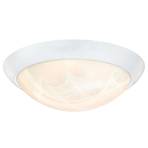 Westinghouse 6106640/6308940 LED ceiling light